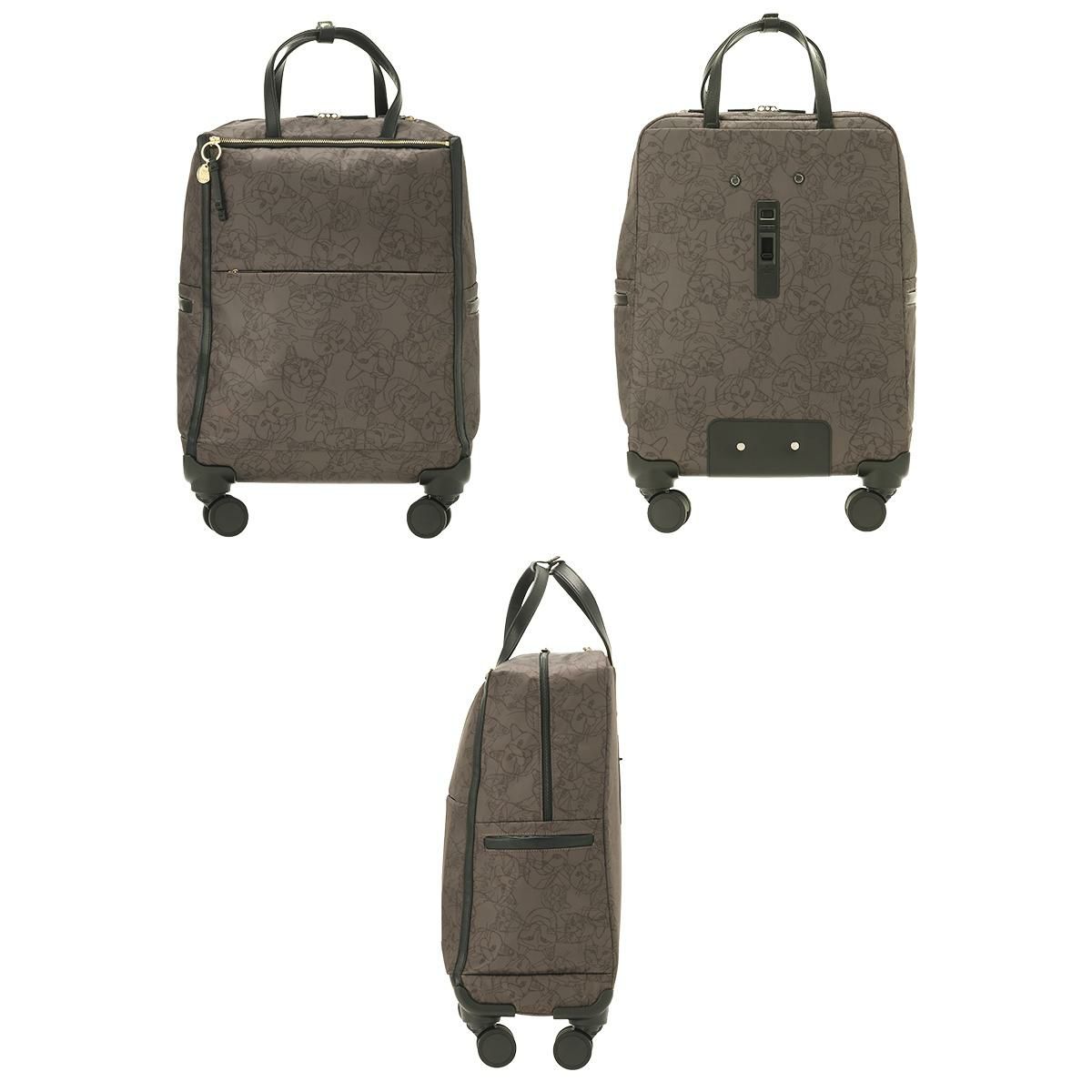 新商品/エース/トーキョーレーベル/HAyU/ユッカ TR/ソフト