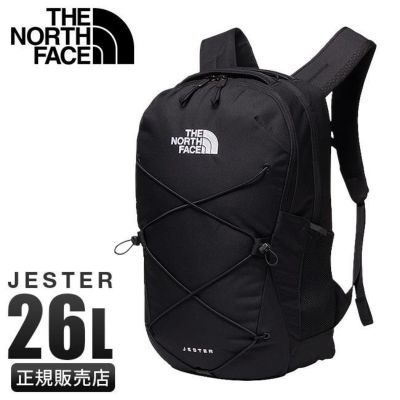 ザ・ノース・フェイス ノースフェイス バサルトデイ ビジネスリュック
